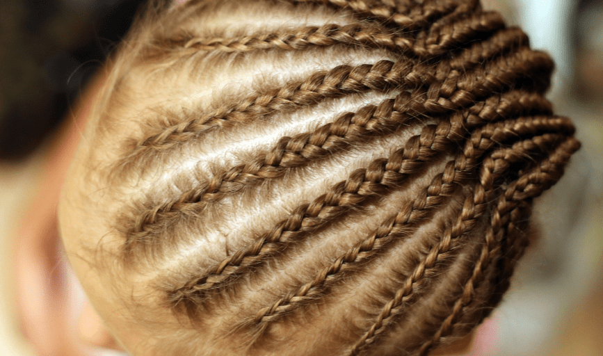 Corn Rows